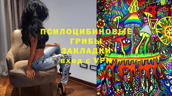 mdpv Краснослободск