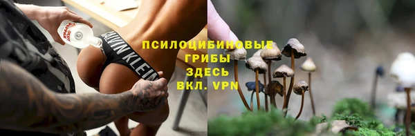 mdpv Краснослободск