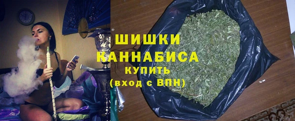 mdpv Краснослободск