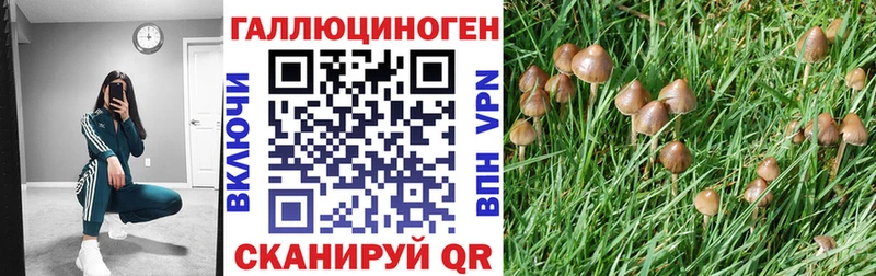 Купить закладки  Тарко-Сале  Галлюциногенные грибы мухоморы 